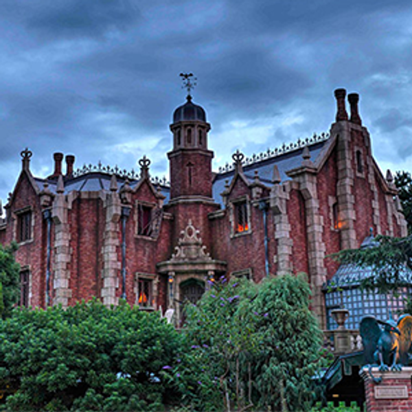 Martina's Tokyo Disney Budget