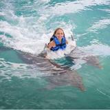 Dolphin Cove Ocho Rios