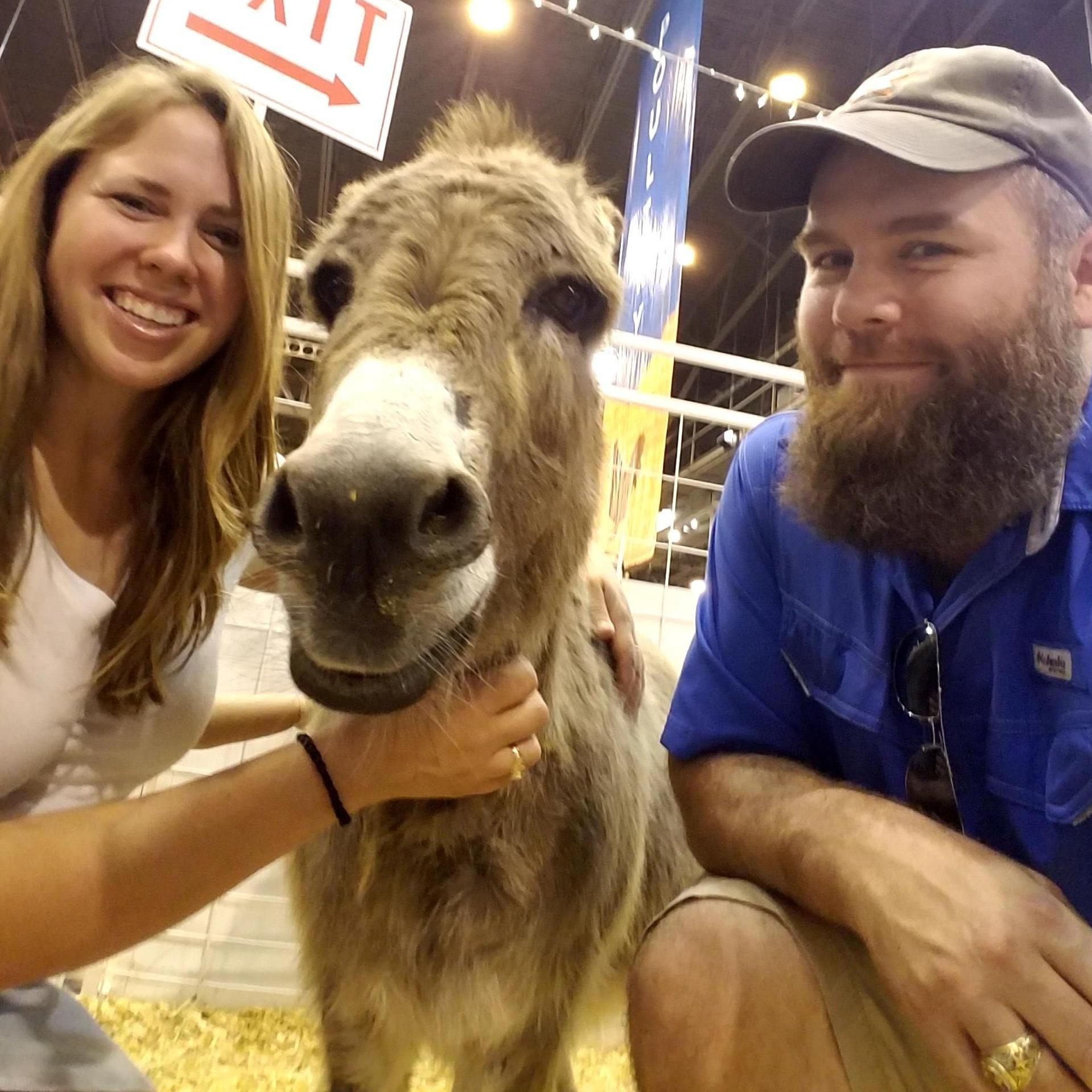 Petting zoo at the Rodeo isn't just for kids
