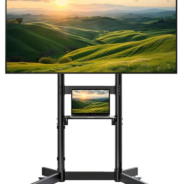 ECOTINY Heavy-Duty Rolling TV Stand for 55–100" Screens — Supports 165 lbs, Stable Mobile TV Cart with Shelf & Locking Wheels, Max VESA 800x600mm, Black