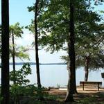 Jetton Park