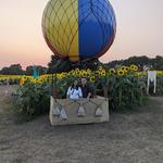 Sunflower Feilds