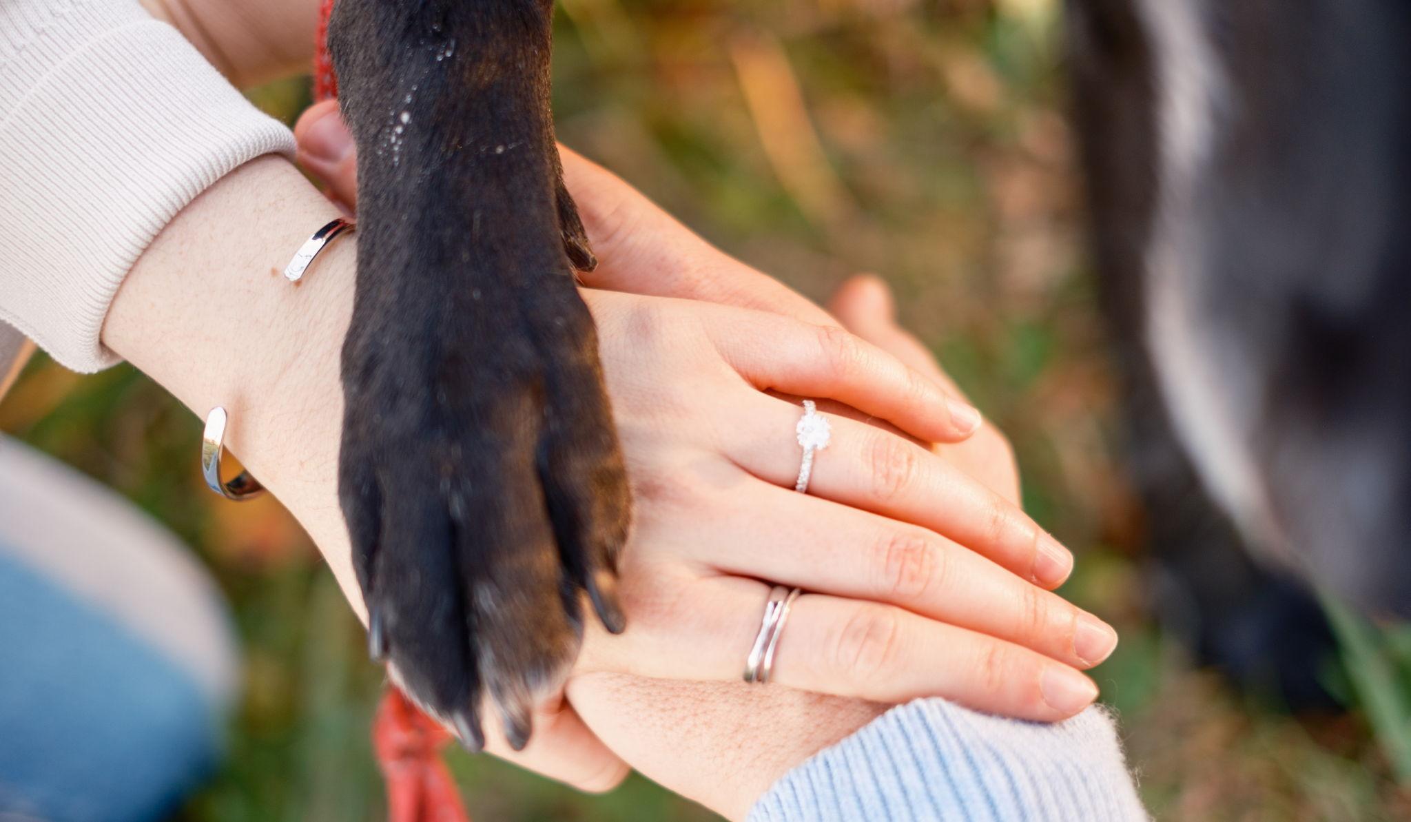 Hero Slideshow Image 1