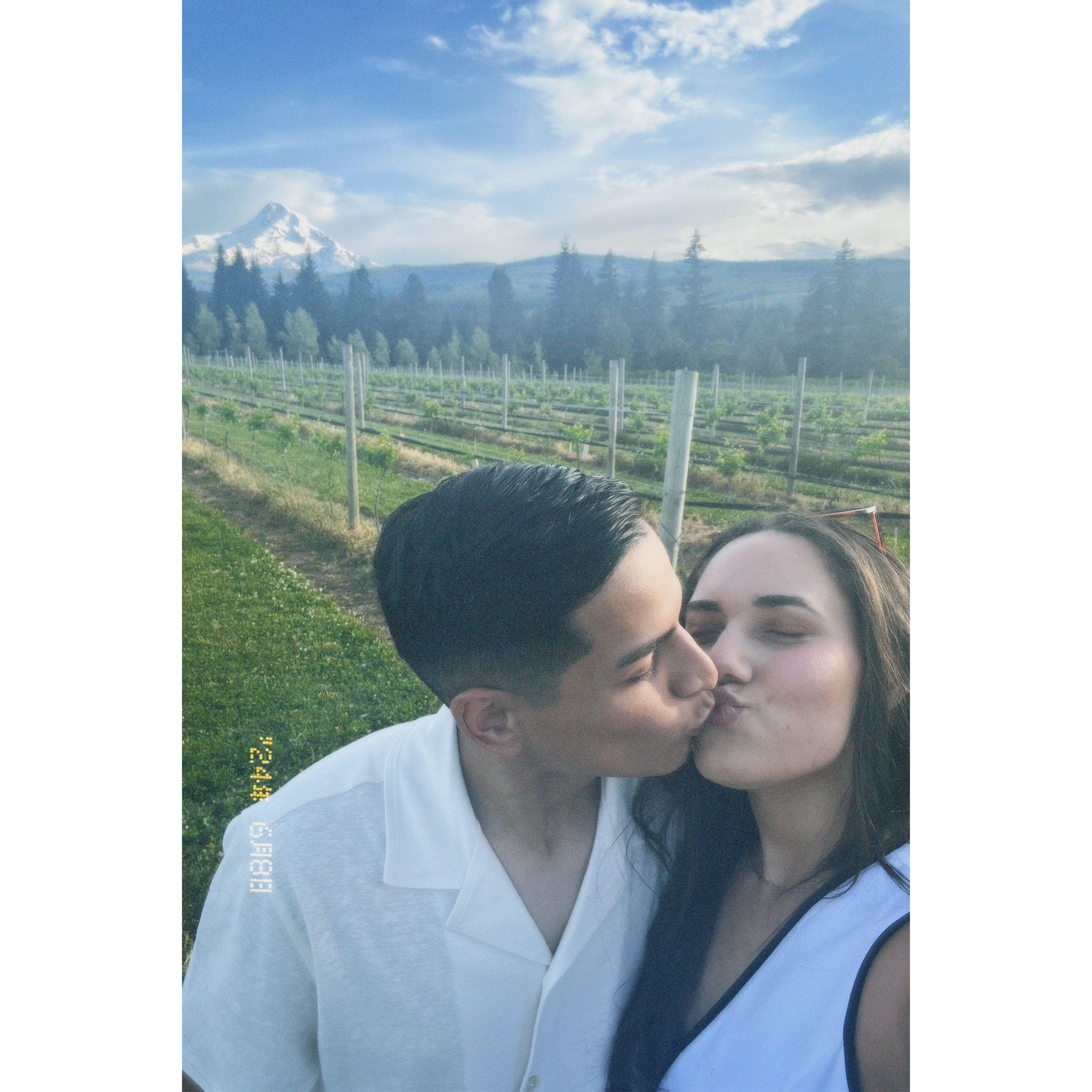 Our first vineyard with a beautiful view