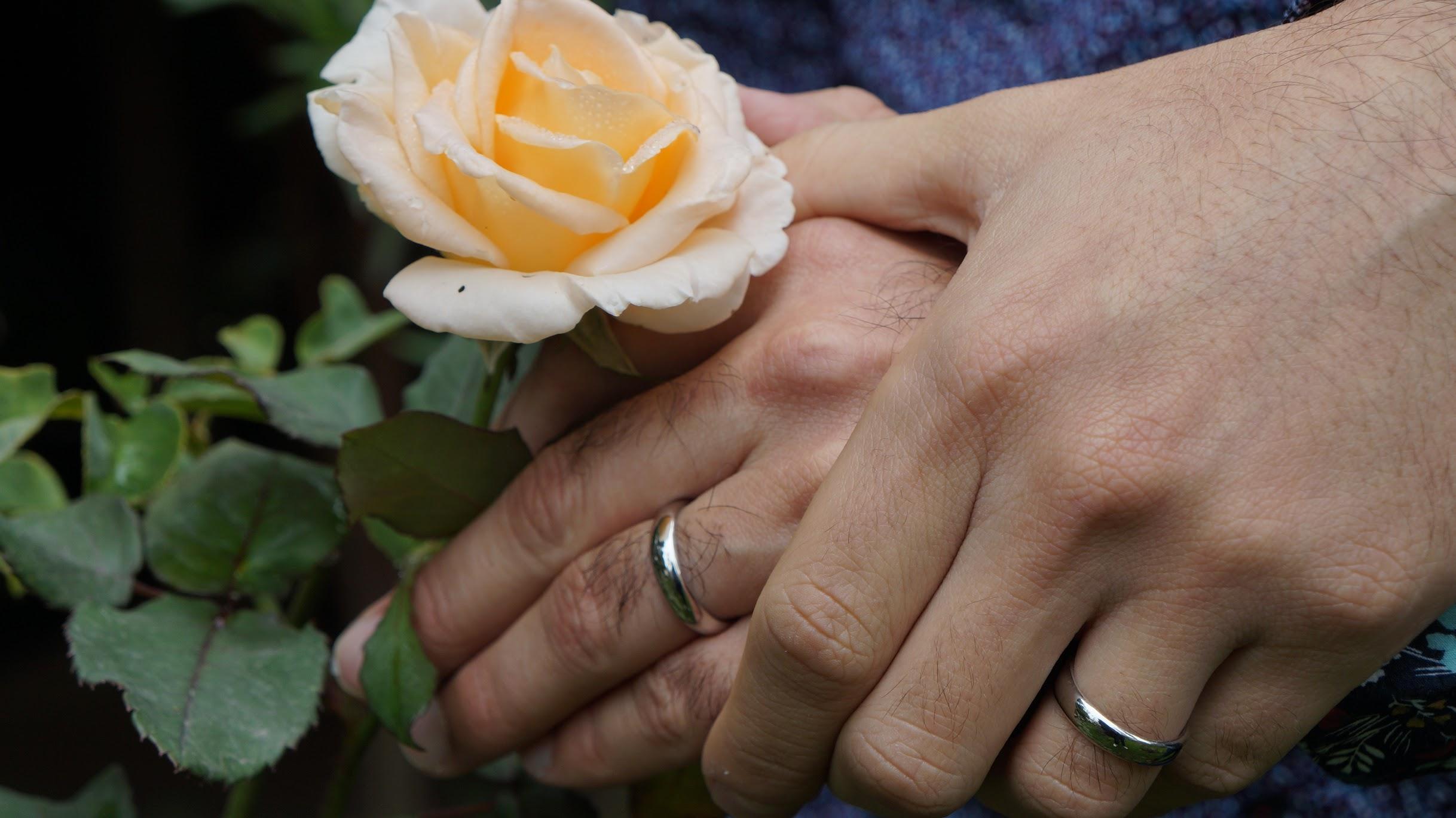 The Wedding Website of Jofreen Bolívar and José Tapia