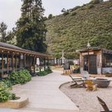 Earthbound Farm Stand