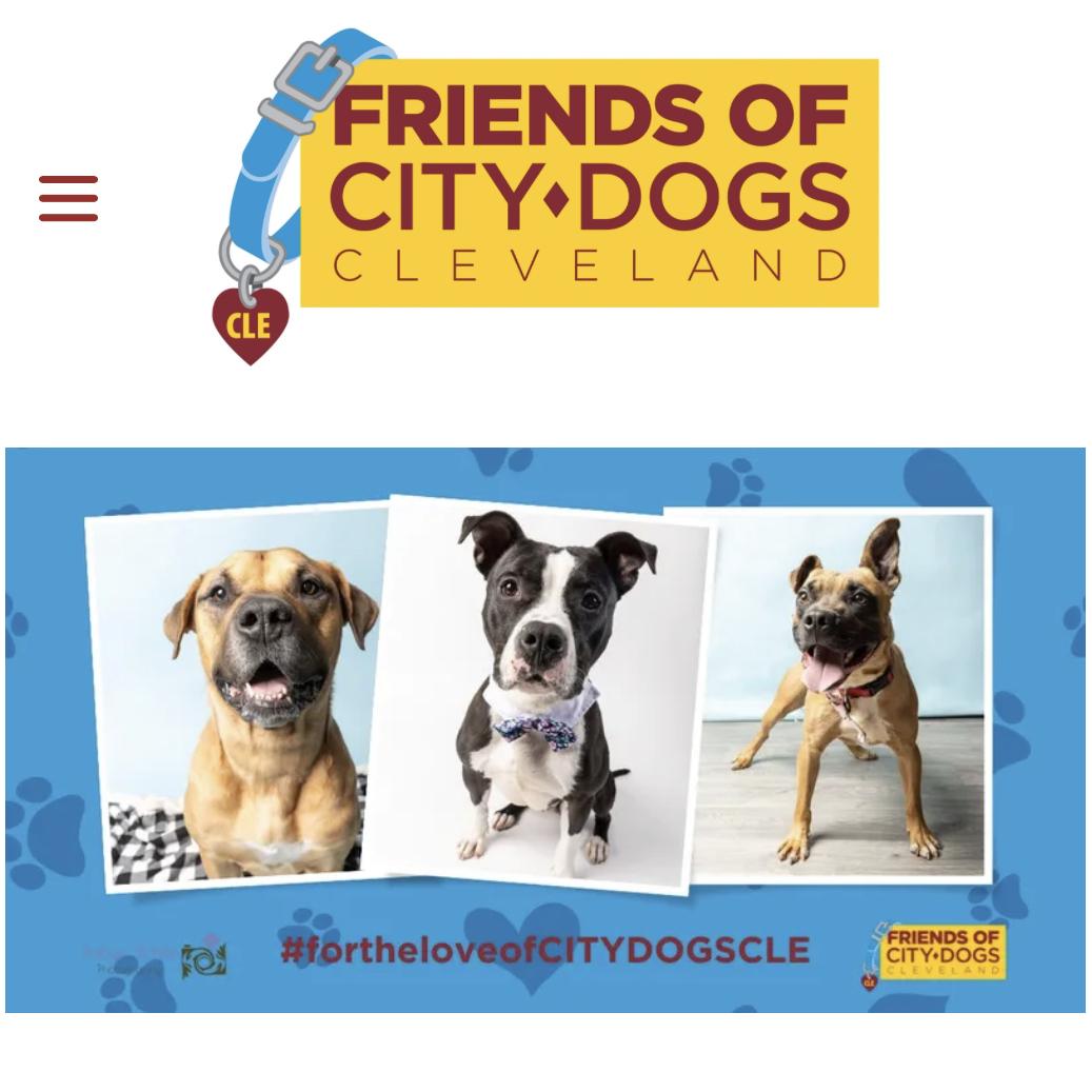 Donation to City Dogs