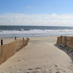 Fenwick Island State Park