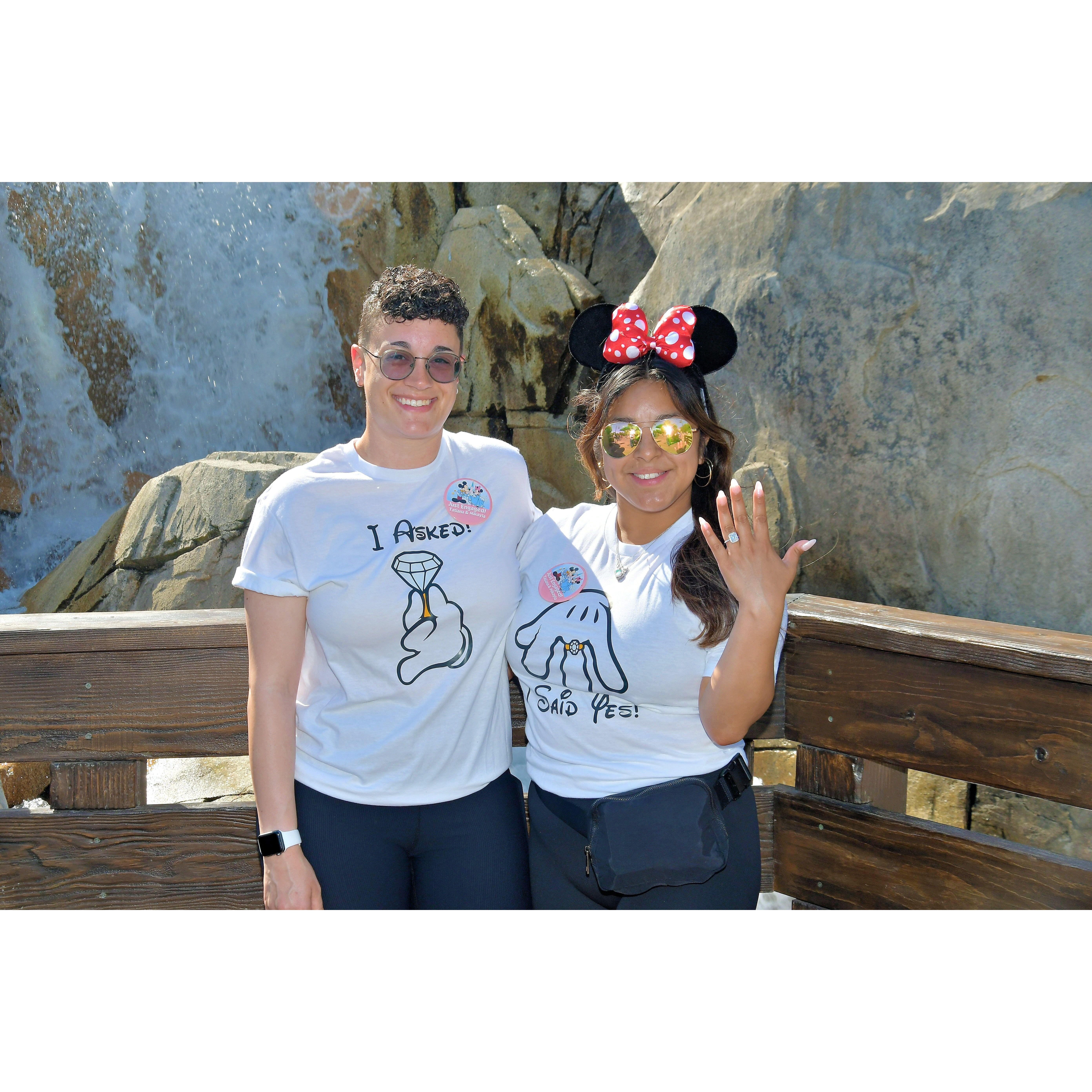 Flew to Disney 3 days after proposal