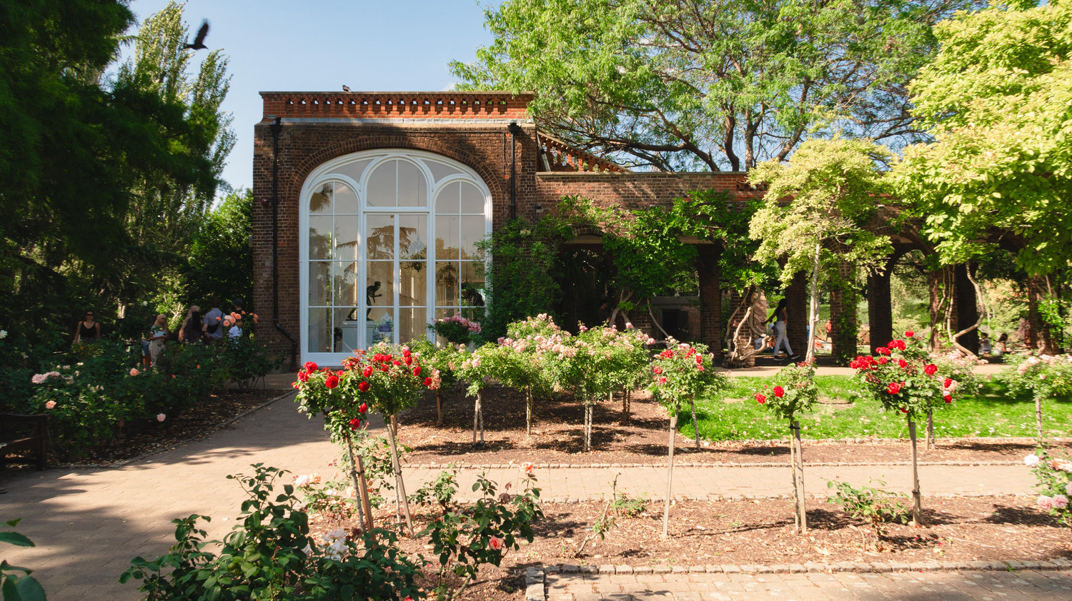 The Wedding Website of Veronika Krashen and Konstantin Runkovsky