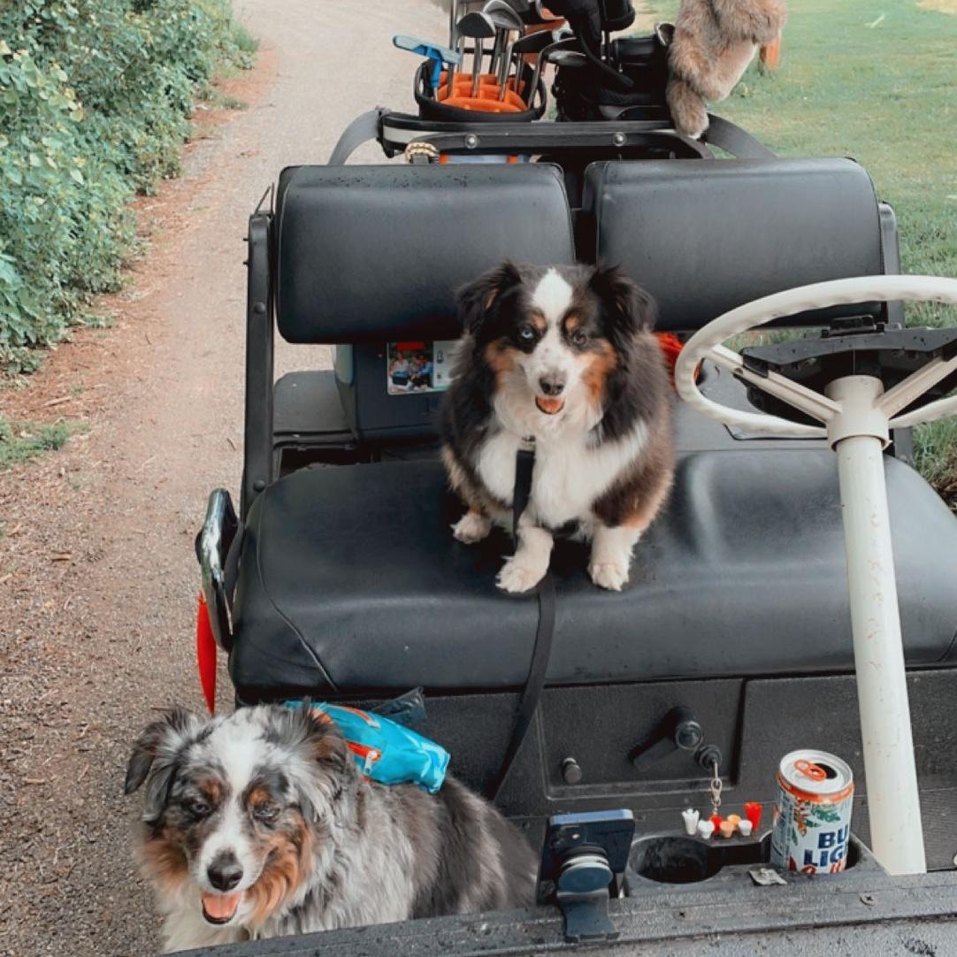 Suede and his mom Lucy often went golfing with Mark and Maddi