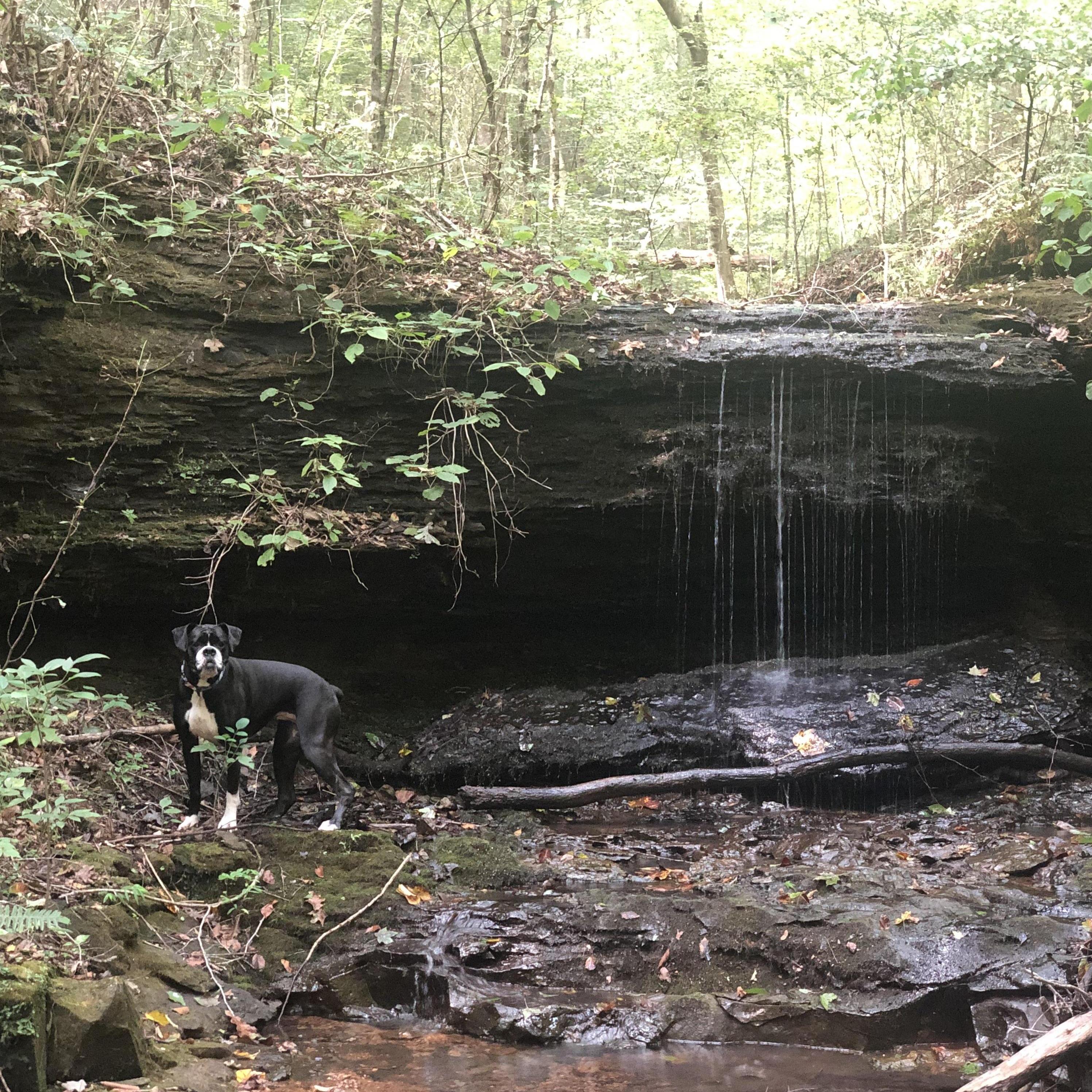 Our adventures wouldn't be complete without our Benelli!