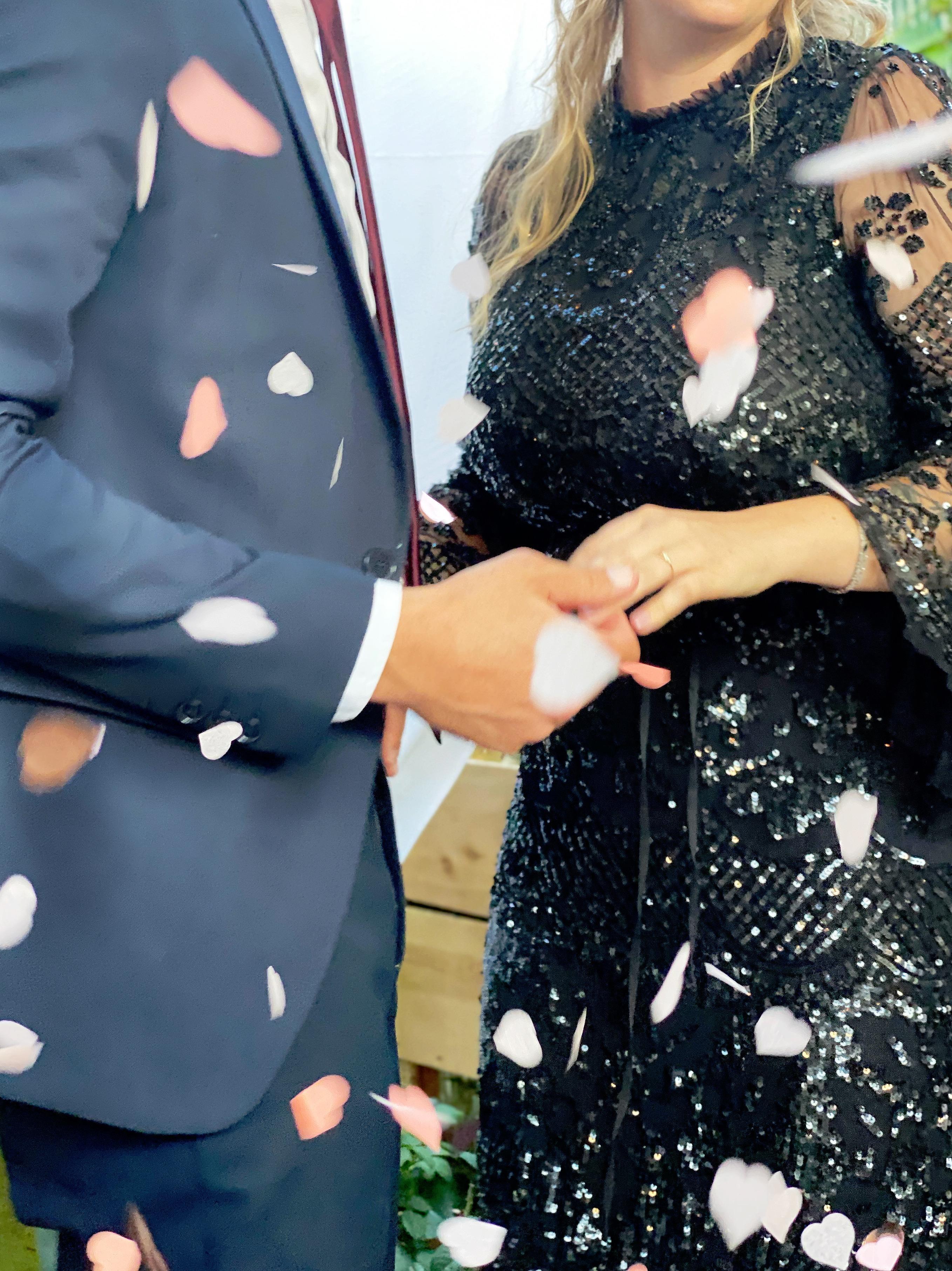 The Wedding Website of Natasha Pasternak and Tyler Francavilla