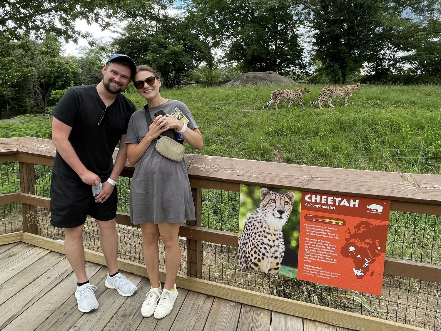 The Wedding Website of Emma Wynekoop and Sean Logan