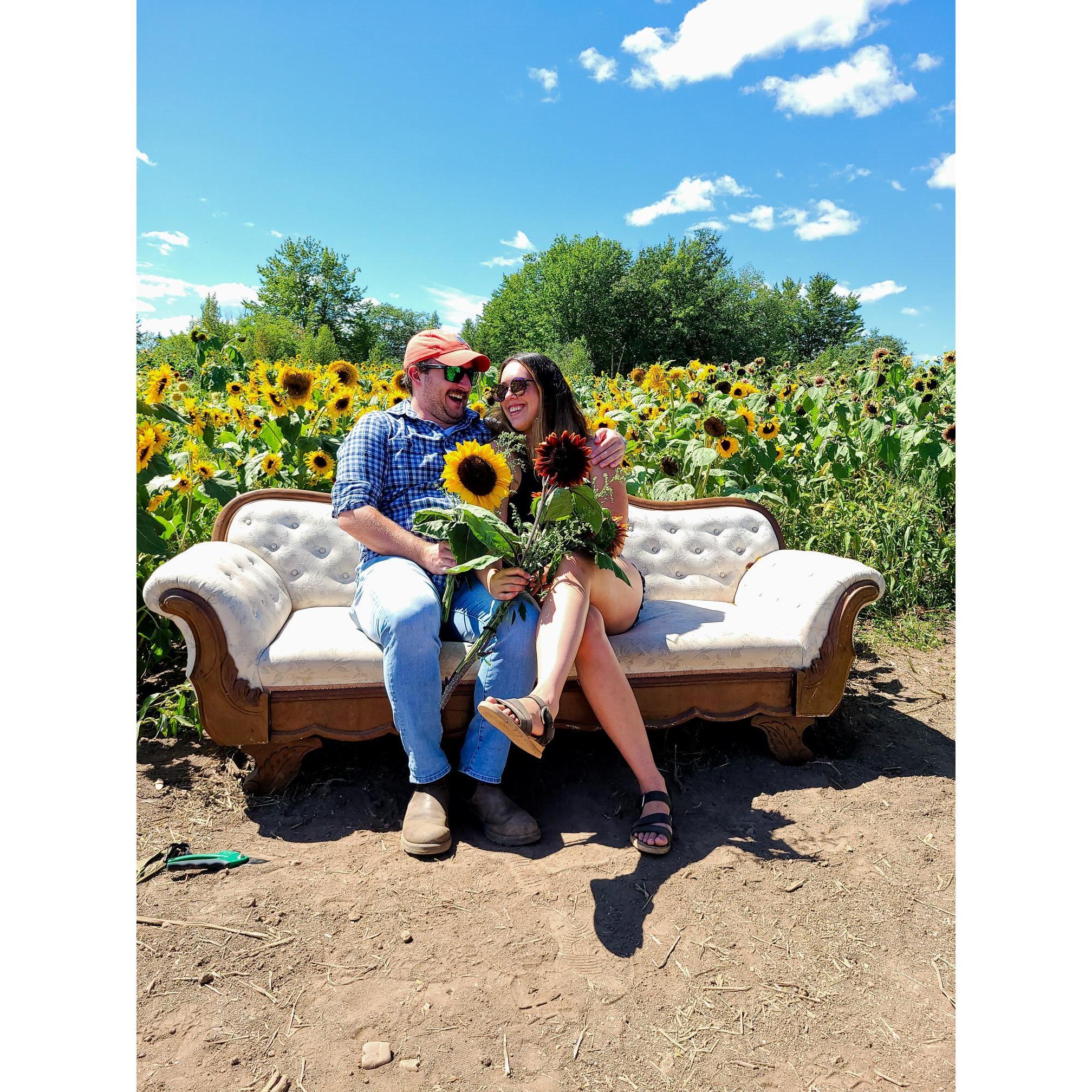 Our first trip to the Sunflower Festival.