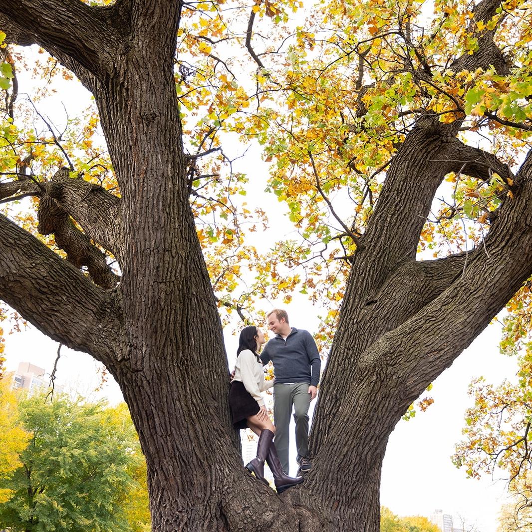 "How did you get in that tree?!"