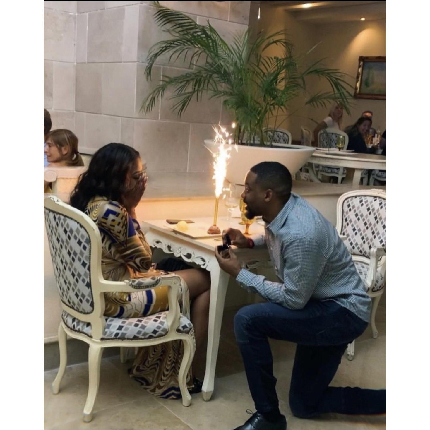 The proposal (2020)
