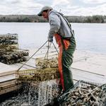Farm Tours at Island Creek Oysters
