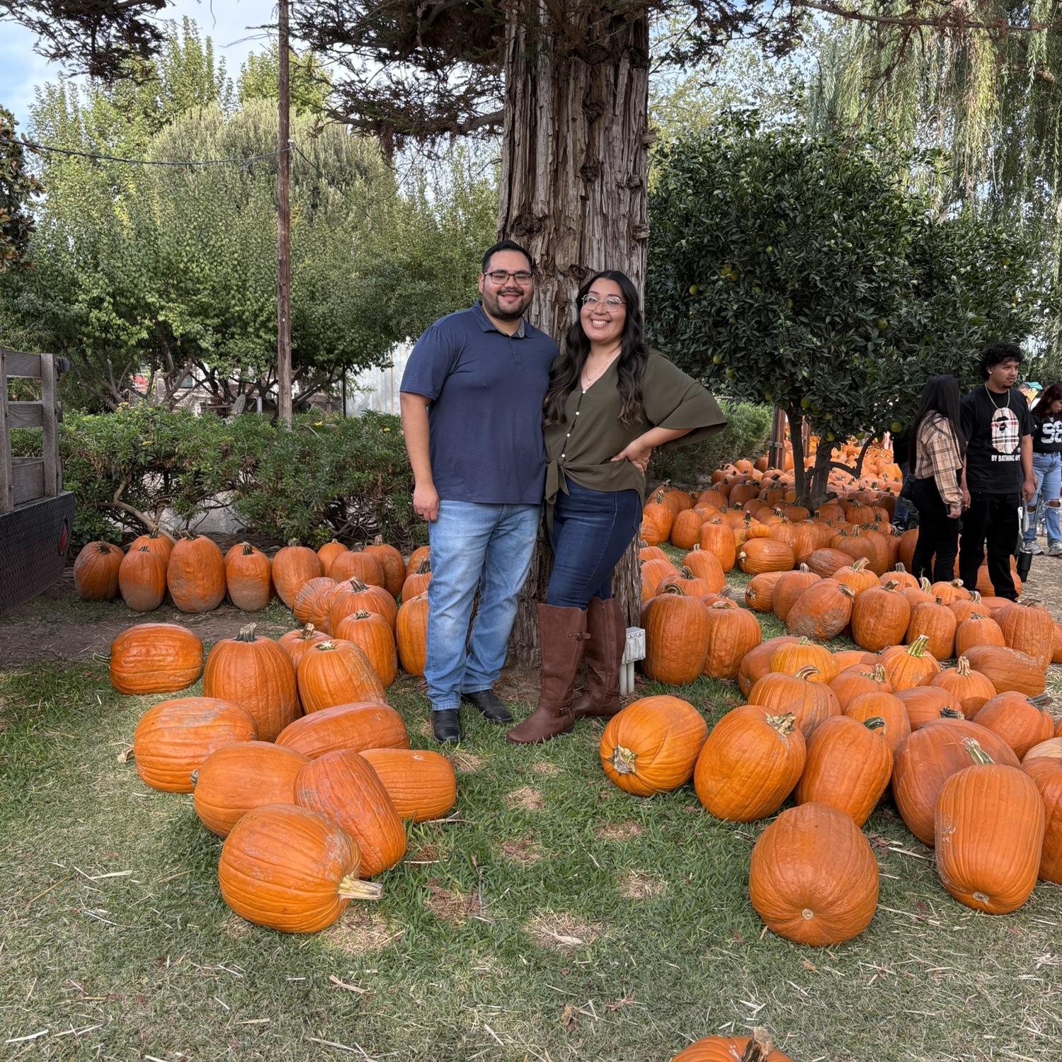 Pumpkin Patch 2025