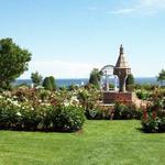 Duluth Rose Garden