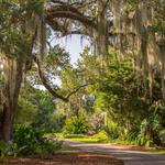 Fairchild Tropical Botanic Garden