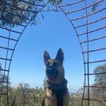 Alta Vista Botanical Gardens