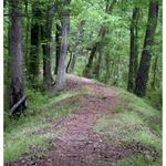 Roanoke Canal Trail