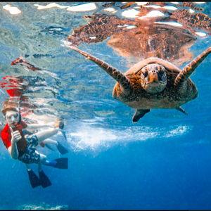 Maui Honeymoon Snorkeling Excursion