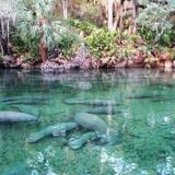 Blue Springs State Park