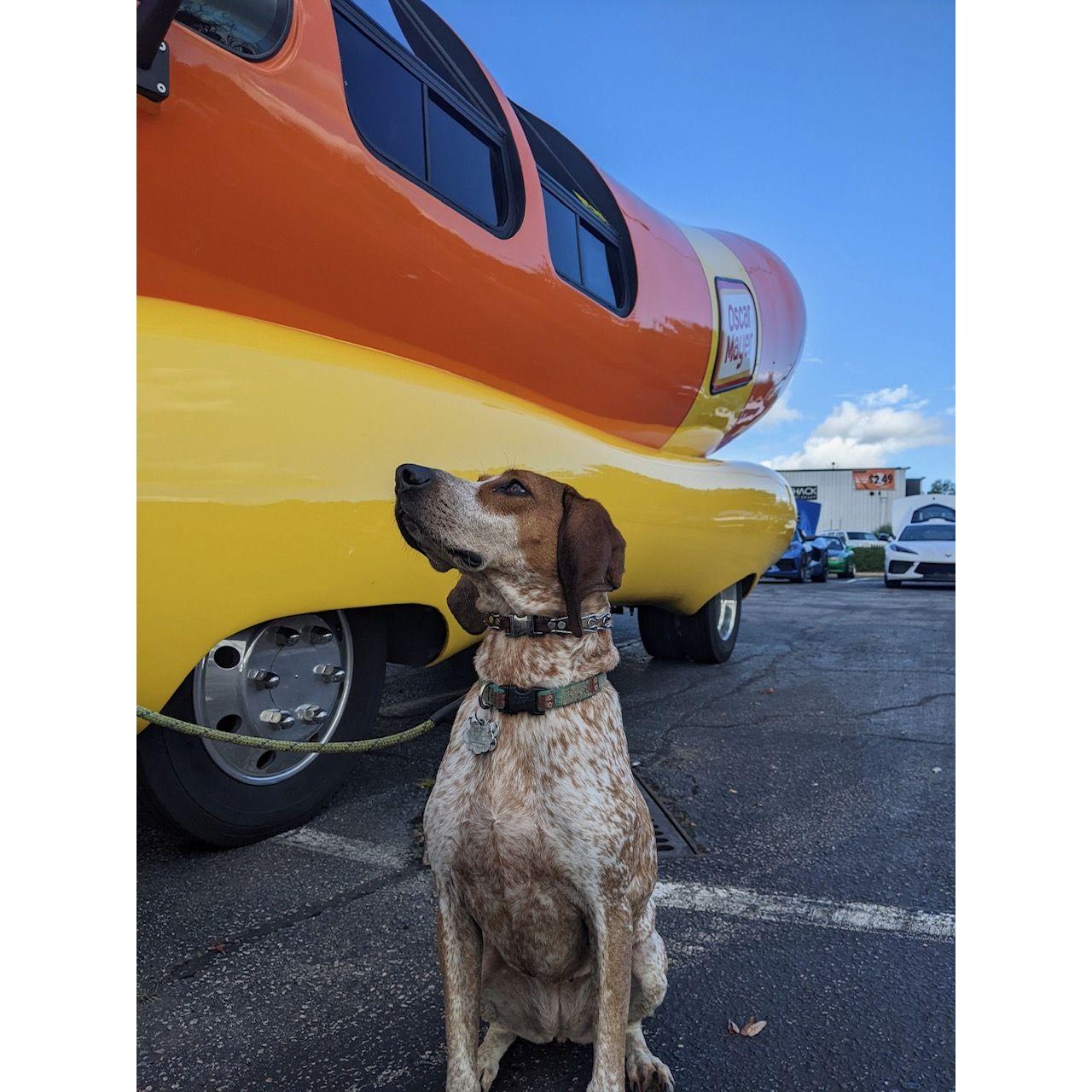 Molly's 2nd Favorite Day