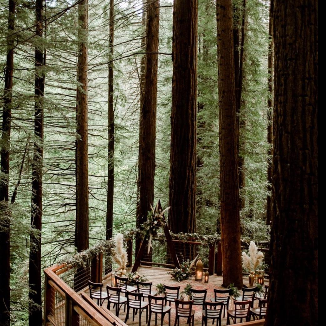 Redwood Deck