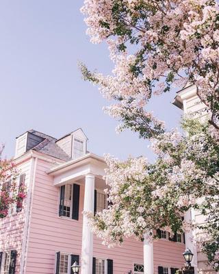 The Wedding Website of Rachel McCurdy and Scott Munley