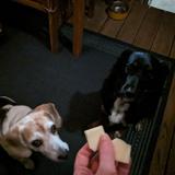 Eat some delicious cheese at Beautiful Rind