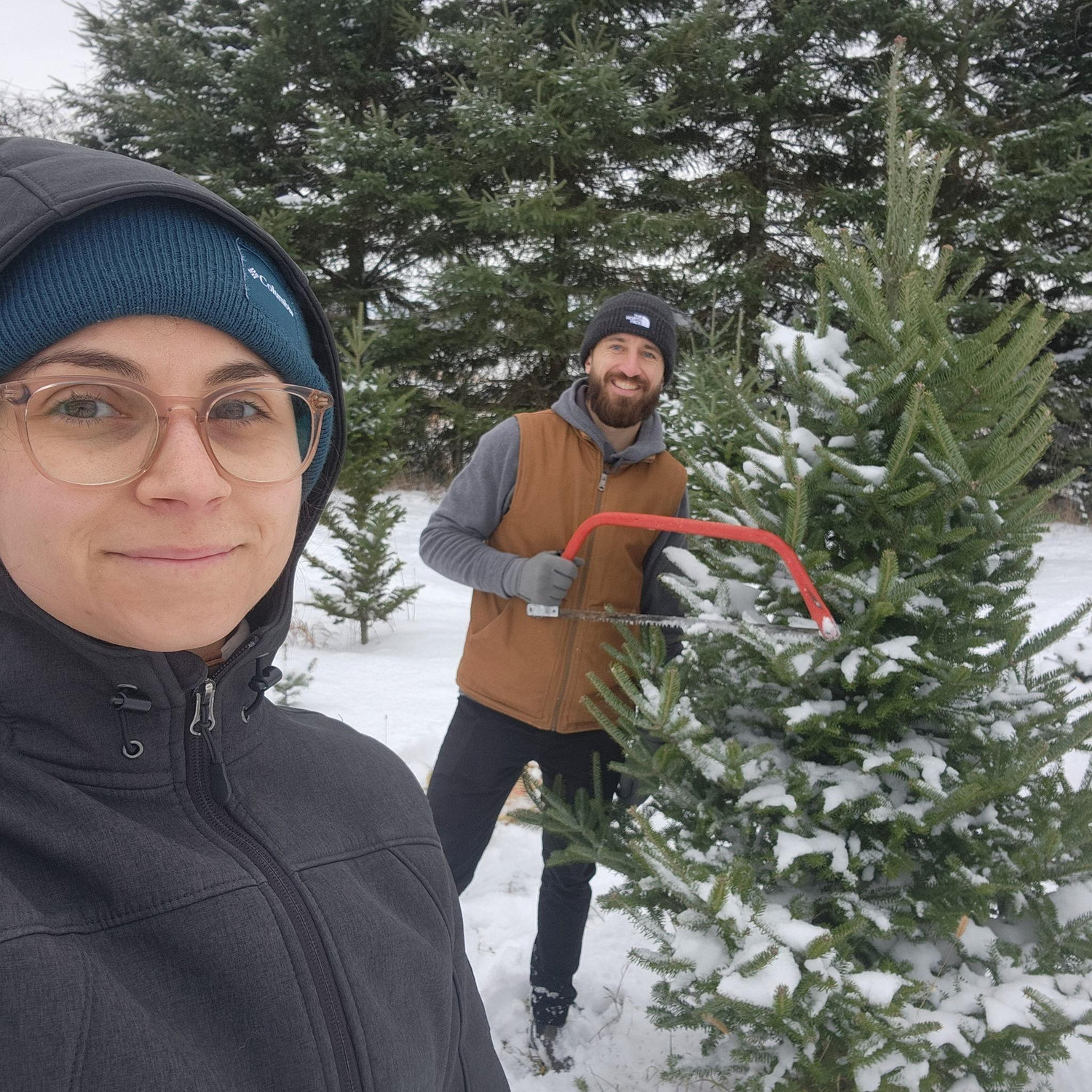 Our 3rd Christmas Tree