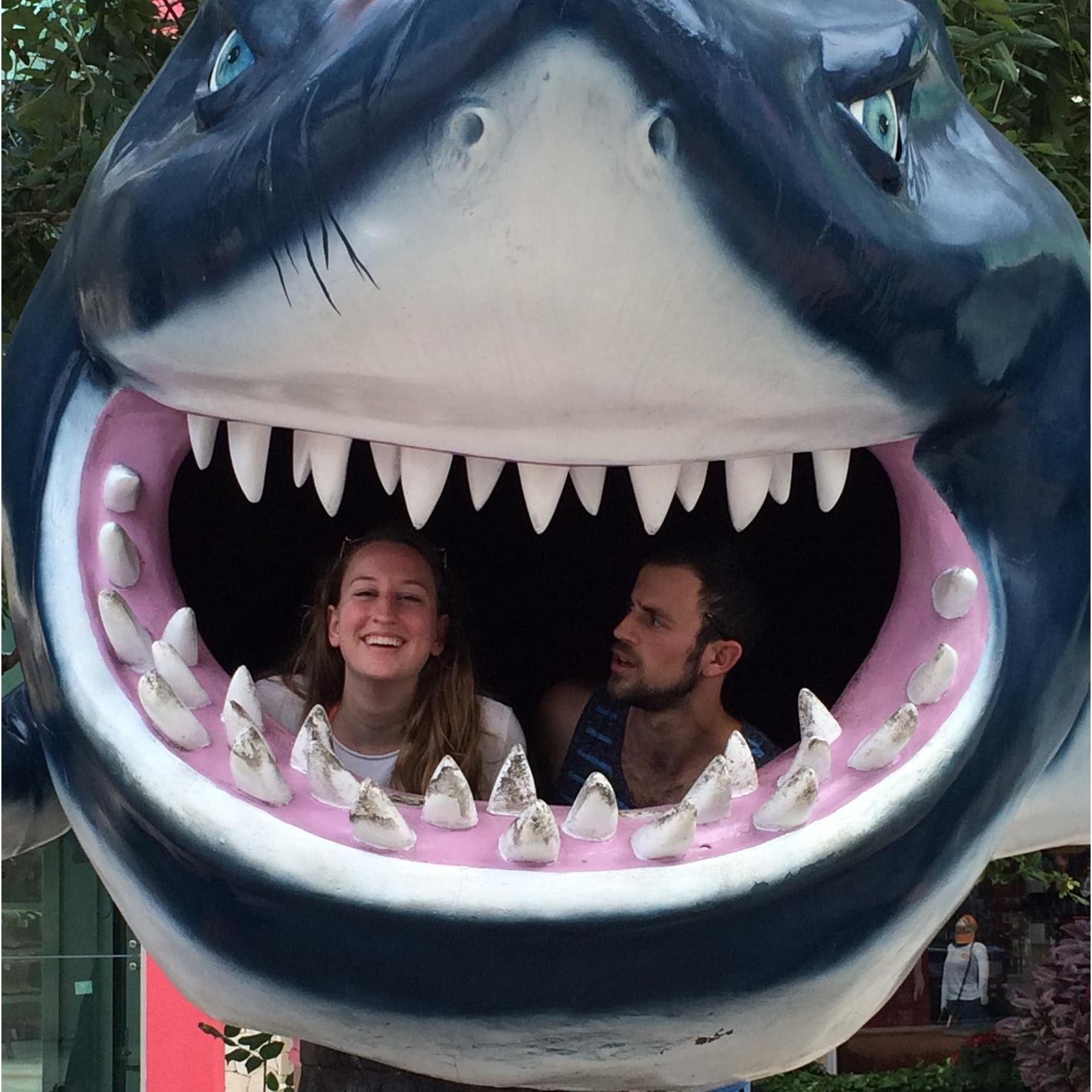 The shark in Jaws - Universal