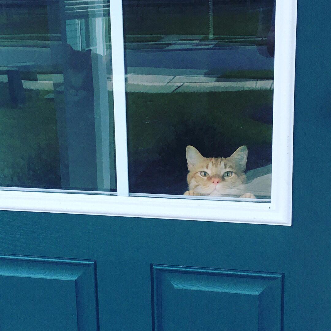 George - 2018 Charleston, SC