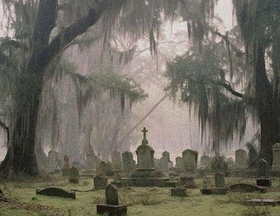The Wedding Website of to haunt.. and To have