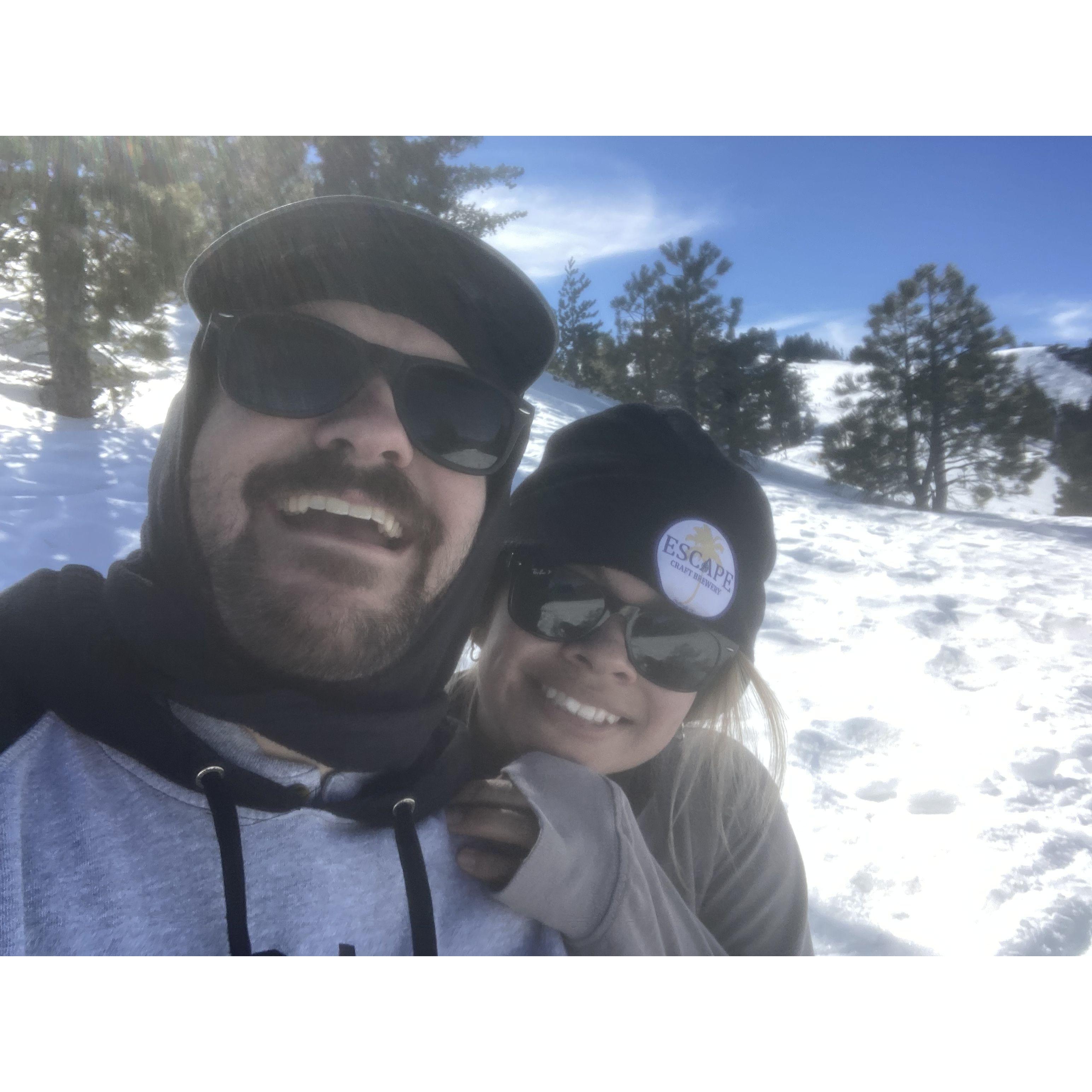 Big bear bound