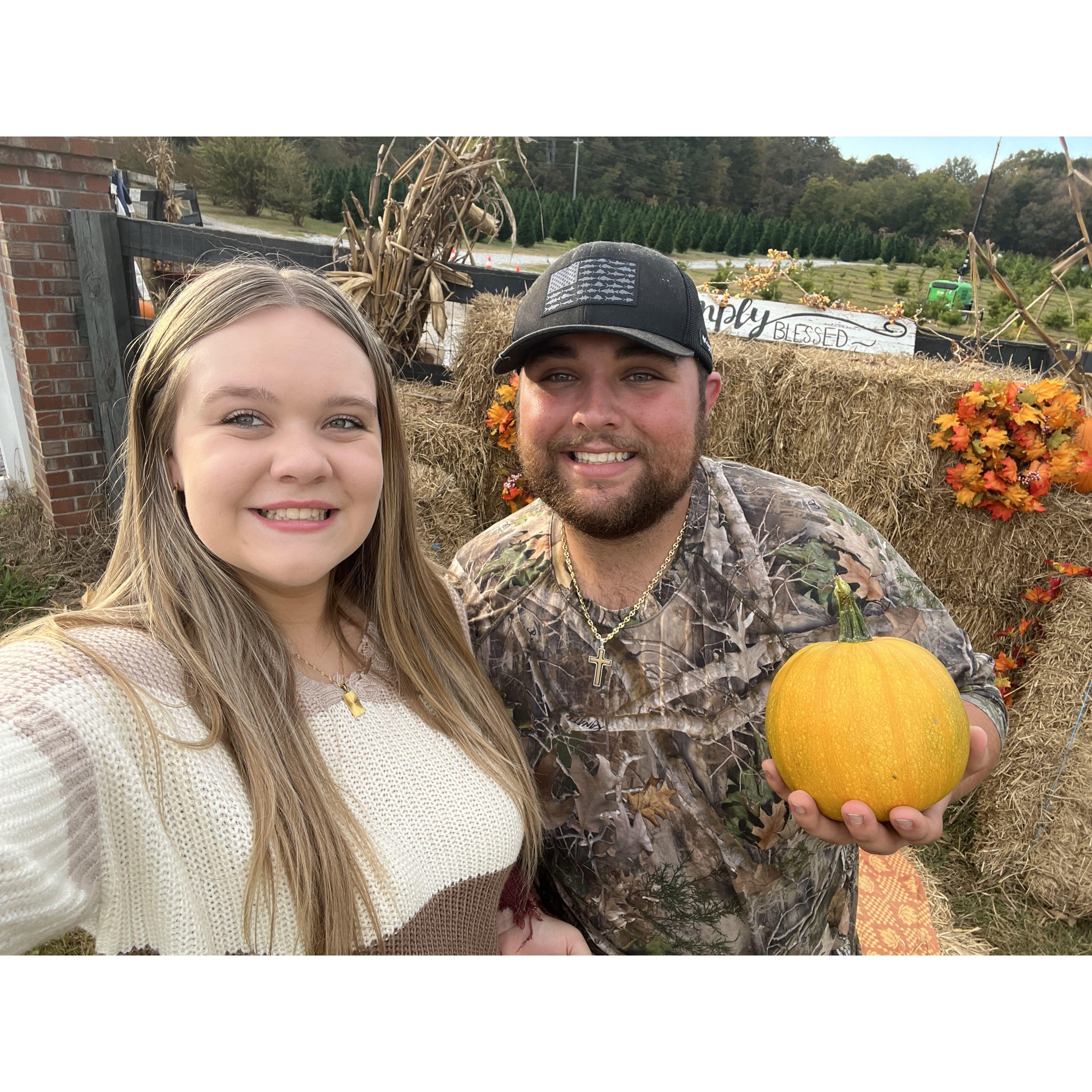 And another pumpkin patch…lol!