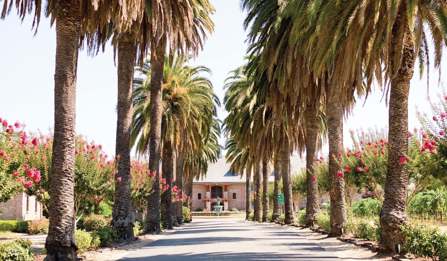 The Wedding Website of Raelan Hovanic and Aj Mendoza