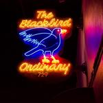 Blackbird Ordinary