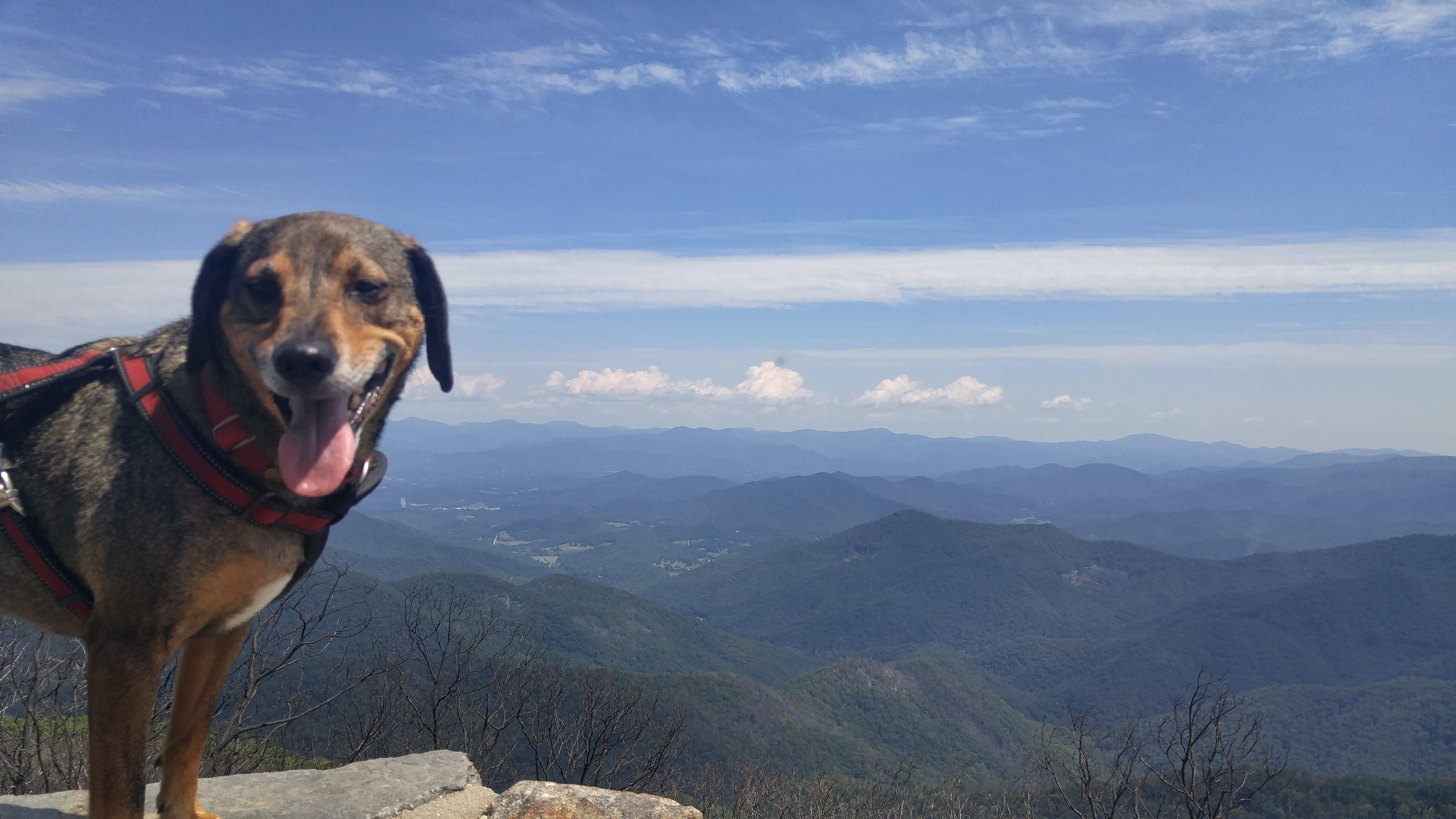 10c1450d-f210-4a41-aa90-348ef28cfbc0