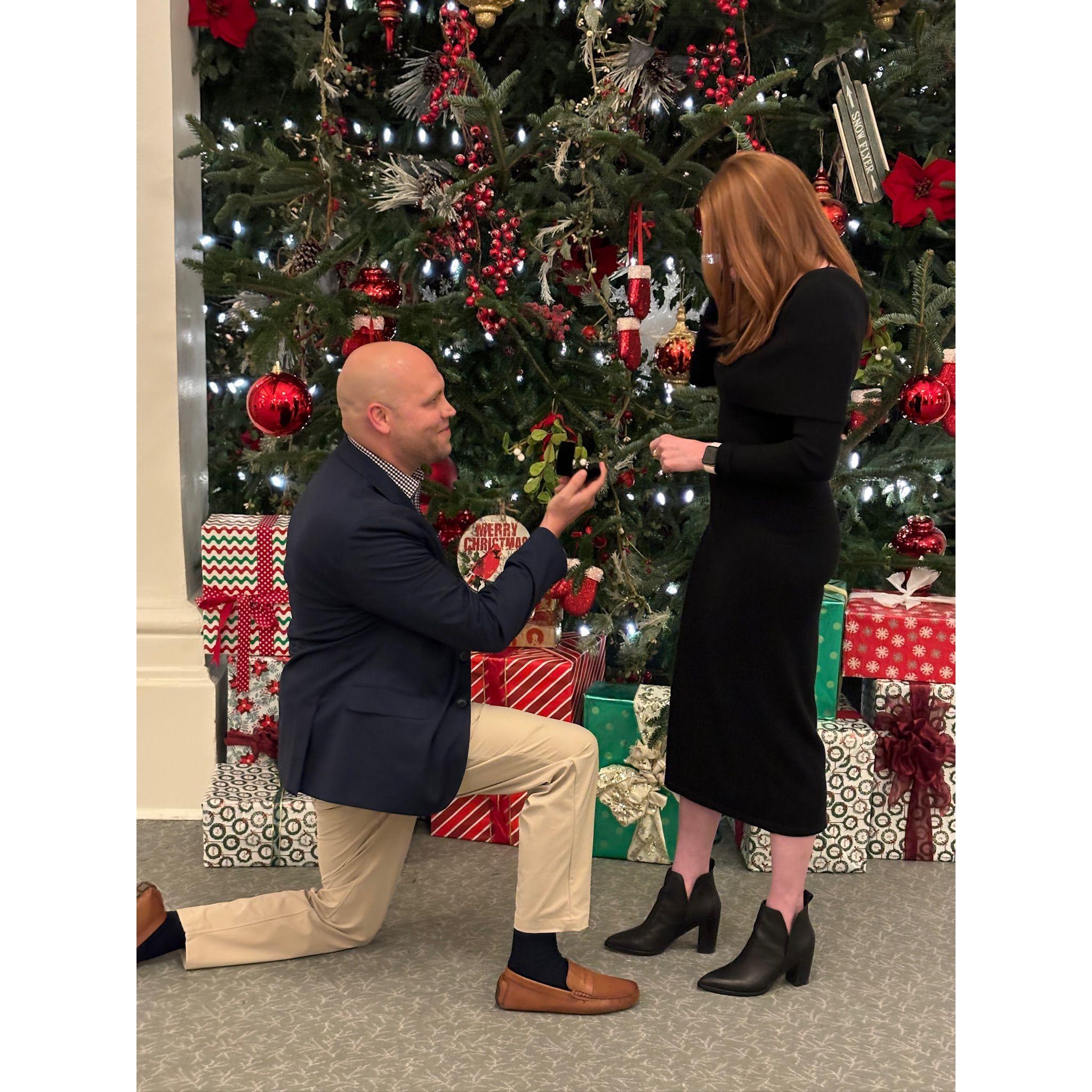 The proposal!