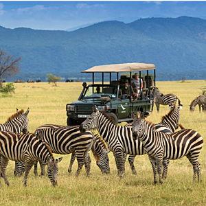 African Safari Honeymoon Fund – Kruger National Park
