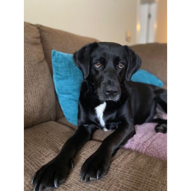 Midnight. Our first foster and we failed. <3