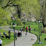 Prospect Park
