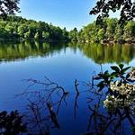 Puffers Pond