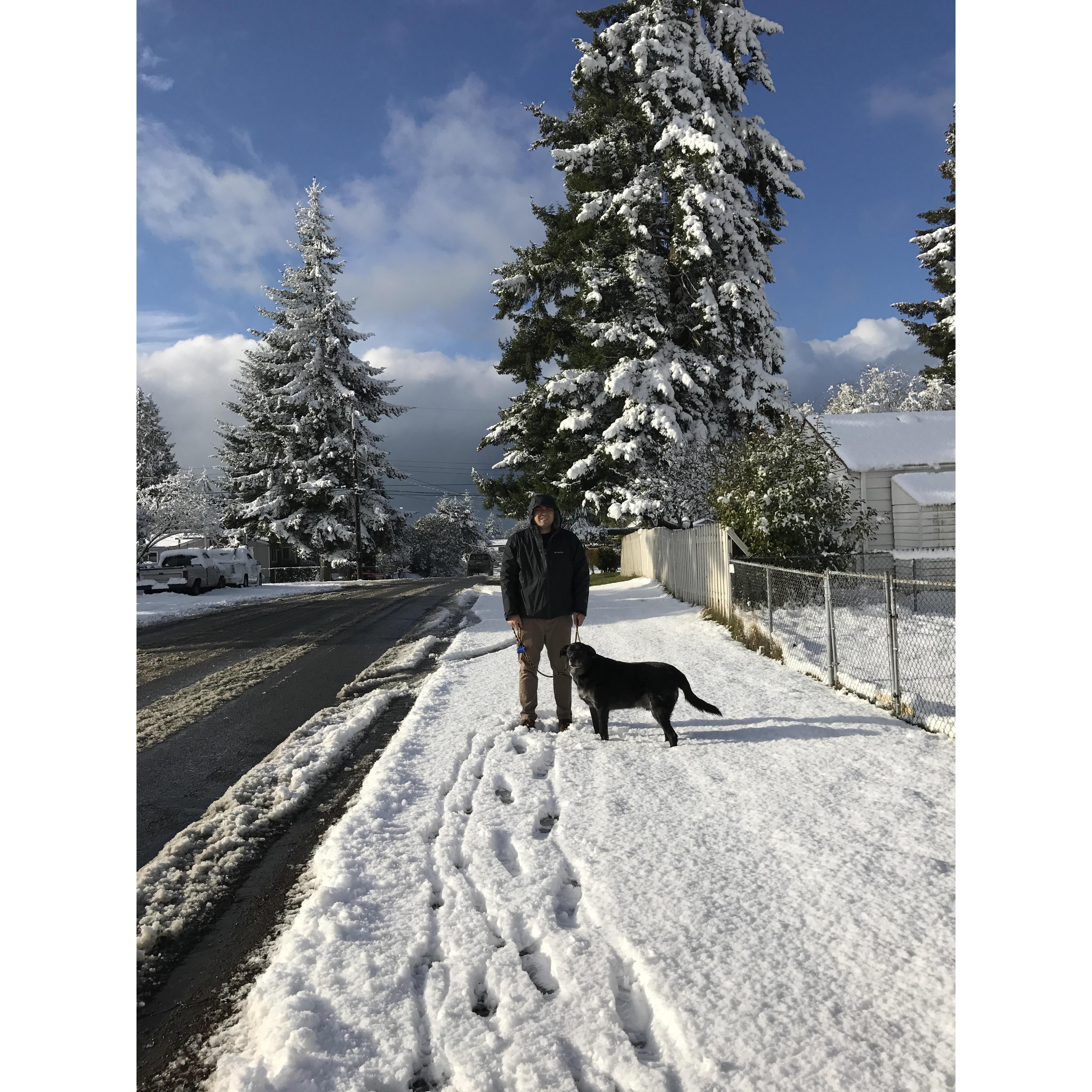 Snow day in Seattle