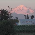 Bellewood Acres farm and distillery