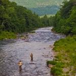 Esopus Creek Conservancy